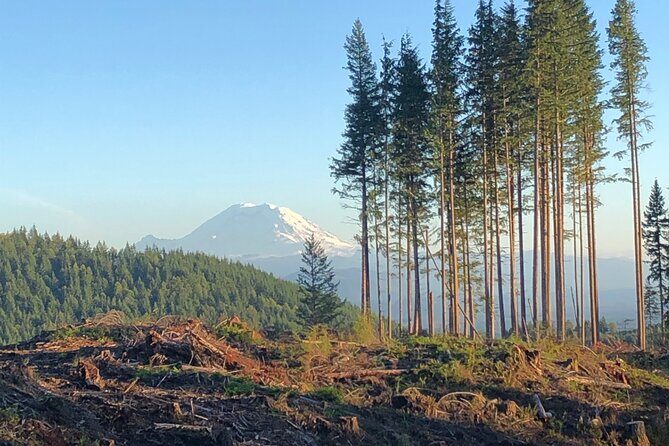 Private Adventure Mountain Biking in Seattle's Eastside - What Makes This Tour Stand Out