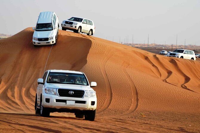 Private Adventure Red Dune Desert Safari With BBQ Dinner & Shows - Introduction