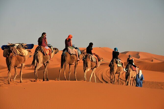 Private Adventure Red Dune Desert Safari With BBQ Dinner & Shows - Key Points