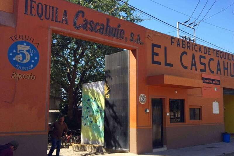 Private Adventure to Tequila and el Cascahuin Distillery - An In-Depth Look at the Tour Experience