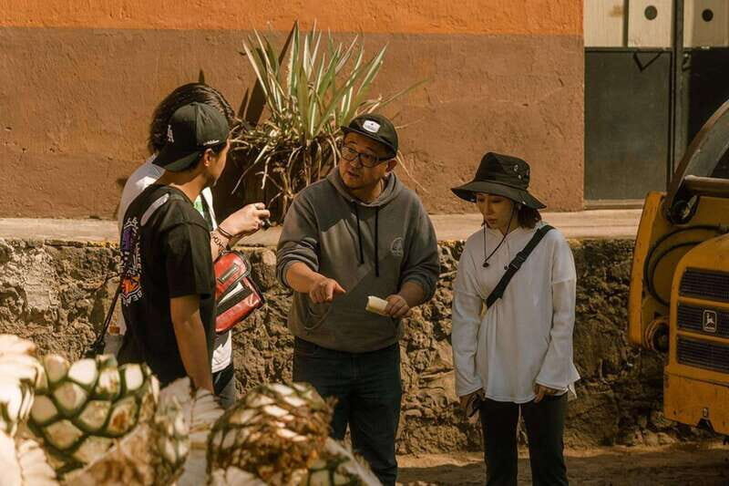 Private Adventure to Tequila and el Cascahuin Distillery - A Closer Look at the Itinerary