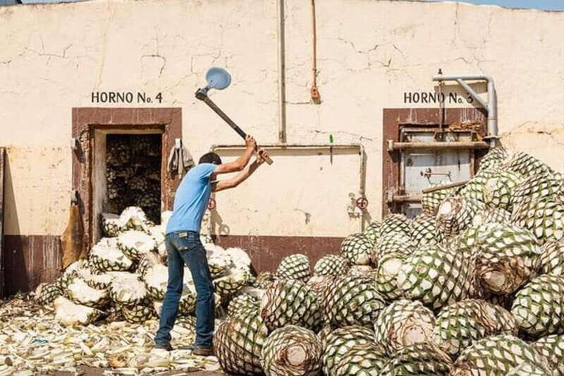 Private Adventure to Tequila and el Cascahuin Distillery - FAQ