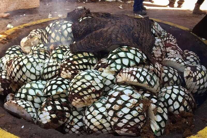 Private Adventure to Tequila and el Cascahuin Distillery - Final Thoughts
