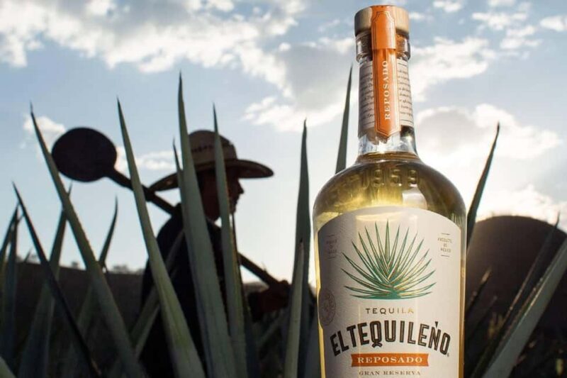 Private Adventure to Tequila and Tequila El Tequileño - An Authentic Day in Jalisco: A Closer Look