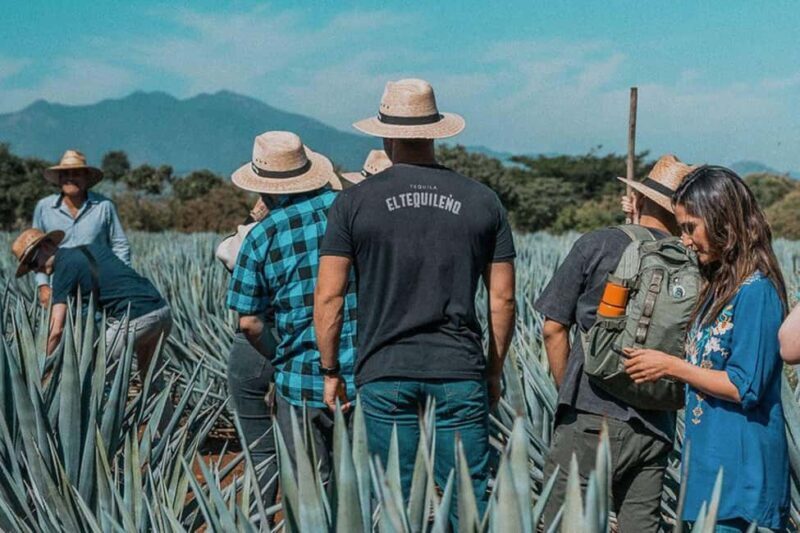Private Adventure to Tequila and Tequila El Tequileño - Who Is This Tour Best For?