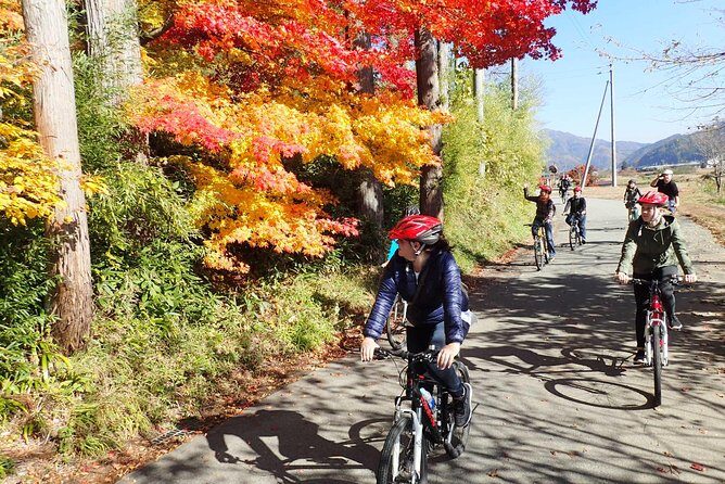 Private Afternoon Cycling Tour in Hida-Furukawa - The Experience: What You Can Expect on the Tour