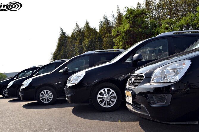 Private Airport Transfer: Cairo Airport Transfer to anywhere in Cairo - Why You Might Consider This Transfer
