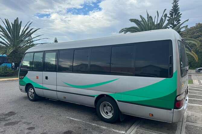 Private Airport Transfer from MBJ to Ocean Eden Bay - Authenticity and Practical Tips