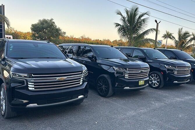 Private Airport Transfer from Punta Cana safety & Comfort - Who Should Consider This Service?