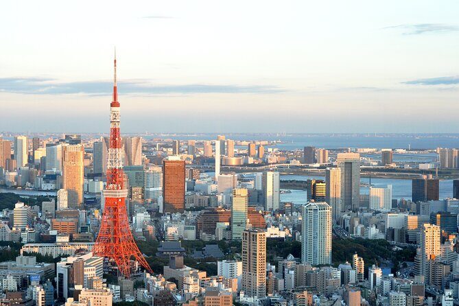 Private Airport transfer Haneda Airport(HND) to Tokyo City - Why Choose This Private Transfer in Tokyo?
