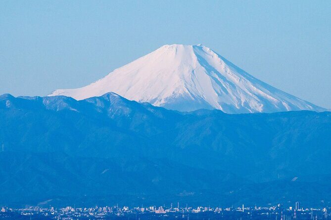 Private Airport transfer Haneda Airport(HND) to Tokyo City - The Reviews: What Travelers Say