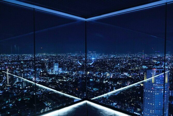 Private Airport transfer Haneda Airport(HND) to Tokyo City - The Practicalities: What Travelers Need to Know