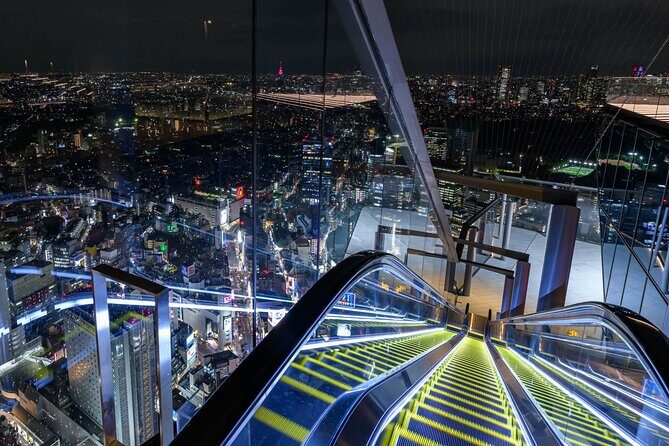 Private Airport transfer Haneda Airport(HND) to Tokyo City - Who Should Book This Transfer?