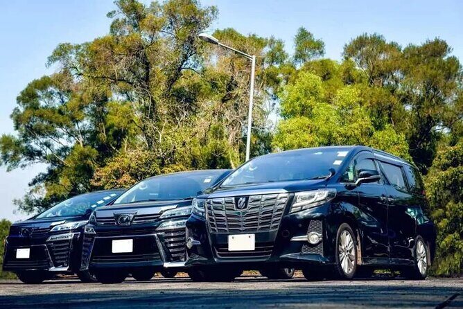 Private Airport Transfer to Grand and Luxury Bahia Principe - Introduction