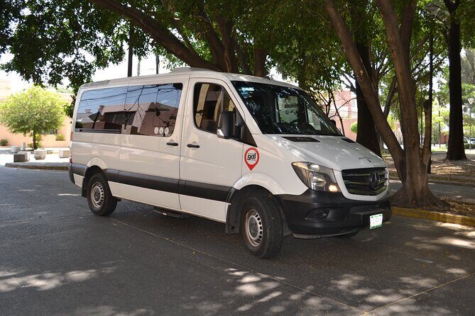Private Airport Transfer to Guadalajara Hotels Safe & Stress-Free - Who should consider this transfer?