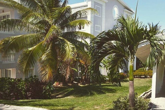 Private Airport Transfer to Lady Hamilton and Grand Palladium - The Sum Up
