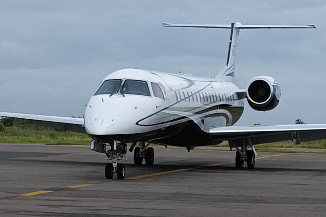 Private Airport Transfer To Mazatlan With Complementary Drinks - Who Will Love This Service?