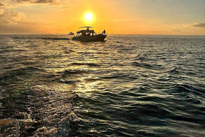 Private Airport Transfer to Royalton, Ocean Coral Spring & Excellence Oyster Bay - Practical Tips for Travelers