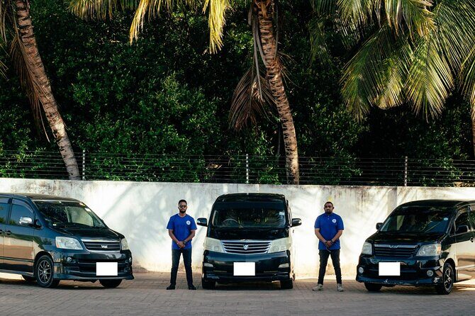 Private Airport Transfers in Dar - Deep Dive into the Itinerary and Service Details
