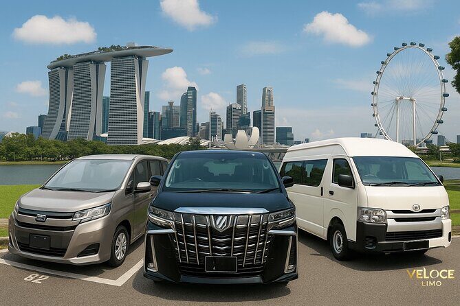 Private Airport Transfers in Singapore - Who Is This Service Best For?
