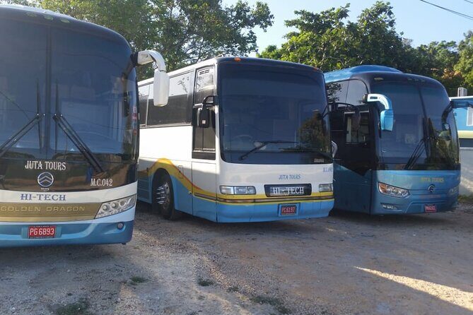 Private Airport Transfers To Negril Hotels and Villas - The Experience of a Private Transfer from Montego Bay to Negril