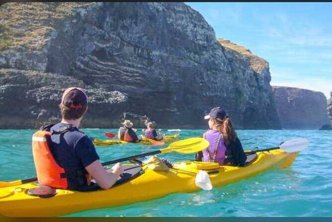 Private Akaroa Day Tour From Christchurch - Who Will Love This Tour?