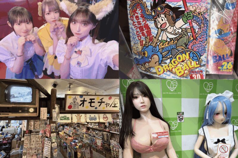 Private Akihabara Anime Game Maid Cafe Tour w/ free pickup - A Genuine Look at the Experience
