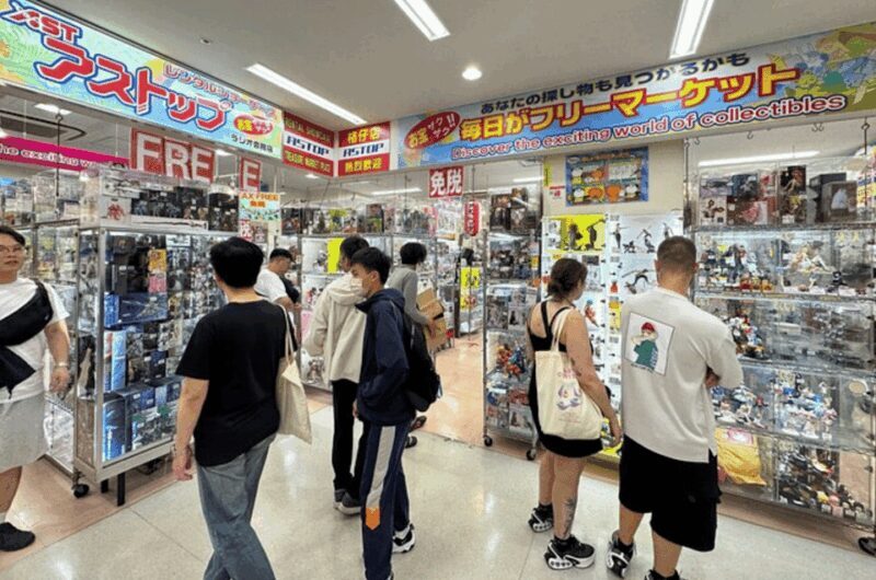 Private Akihabara Anime Game Maid Cafe Tour w/ free pickup - The Sum Up