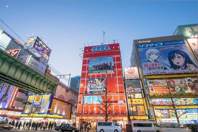 Private Akihabara Anime Guided Walking Tour - Who Should Consider This Tour?
