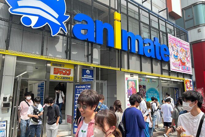 Private Akihabara Anime Guided Walking Tour - The Sum Up: The Best Fit for Curious Otaku and Cultural Explorers