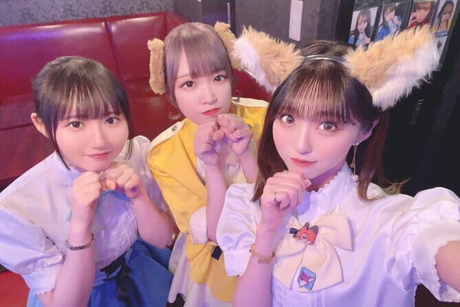 Private Akihabara Retro Tokyo Anime Game Maid Cafe Tour w/ pickup - Analyzing the Experience: What You Can Expect