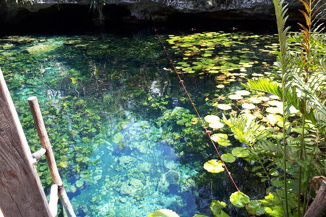 Private Akumal & Cenotes tour - Who Should Book This Tour?