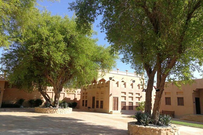 Private Al Ain 8 Hours Tour From Dubai With Professional Driver - The Practicalities: What’s Included and What’s Not