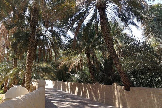 Private Al Ain 8 Hours Tour From Dubai With Professional Driver - Final Thoughts