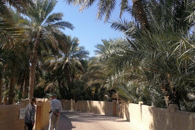 Private Al Ain tour from Dubai with professional Driver - A Closer Look at the Experience
