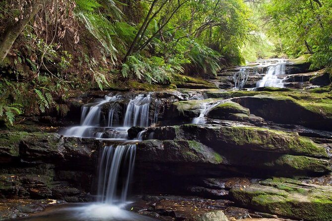 Private All Blue Mountains Day Tour - Insights from Travelers