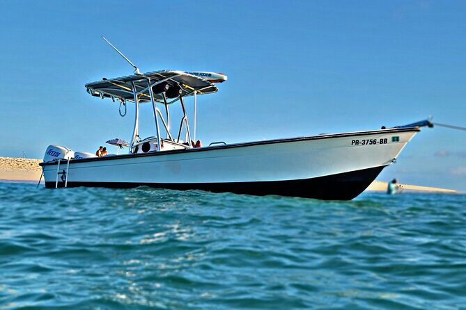 Private All-Inclusive 22ft Boat Guided Snorkeling Icacos Palomino - Final Thoughts