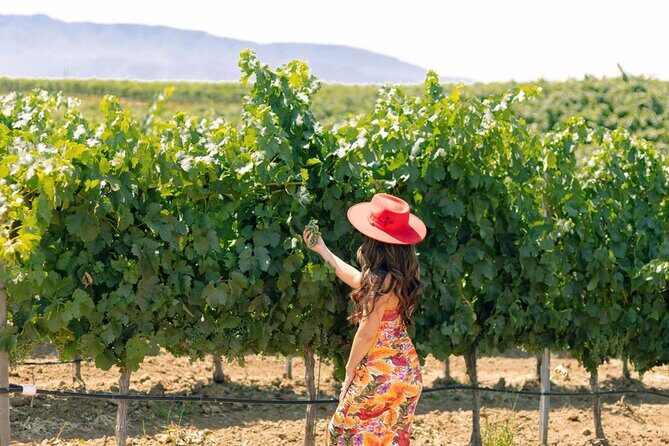 Private All-Inclusive 3-Winery SYV Tour from Santa Barbara - Visiting the Wineries