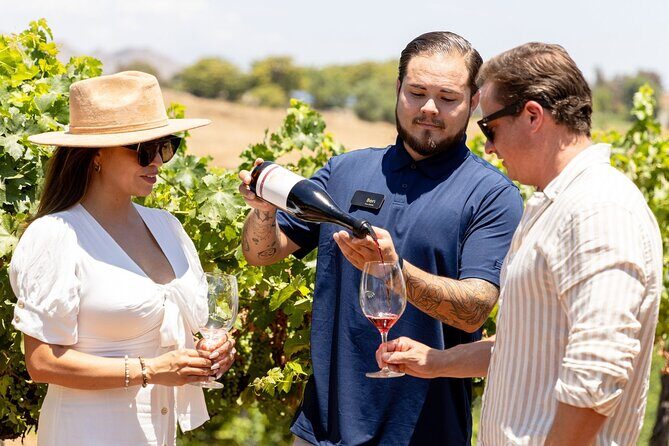 Private All-Inclusive 3-Winery Tour from Paso Robles/Atascadero - Introduction to the Tour Experience