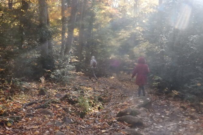 Private All-Inclusive Algonquin Tours (3 Day Guided Camping) - Who Should Consider This Tour