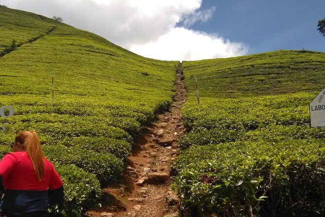 Private all inclusive Day tour Kandy, Pinnawala, & your own selected attractions - Who Will Love This Tour?