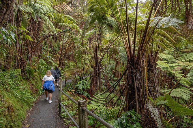 Private - All Inclusive Hawai'i Volcanoes National Park Tour - Unique Experiences and Highlights in the Park