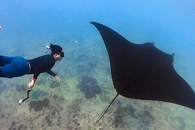 Private All Inclusive Nusa Penida Snorkeling and Tour - A Deep Dive into the Experience