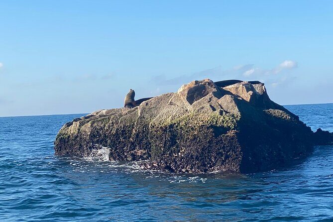 Private All Inclusive Snorkeling Experience in Mazatlan - The Sum Up