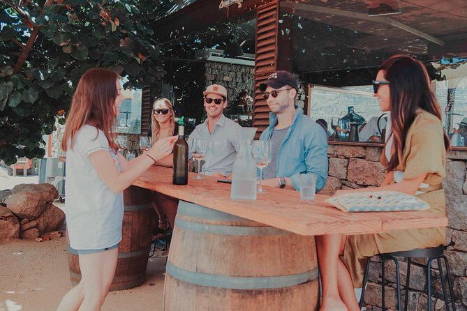 Private and custom group Wine tour Valle de Guadalupe - A Closer Look at the Itinerary and Highlights