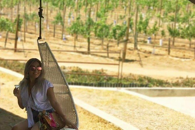 Private and custom group Wine tour Valle de Guadalupe - Who Should Consider This Tour?