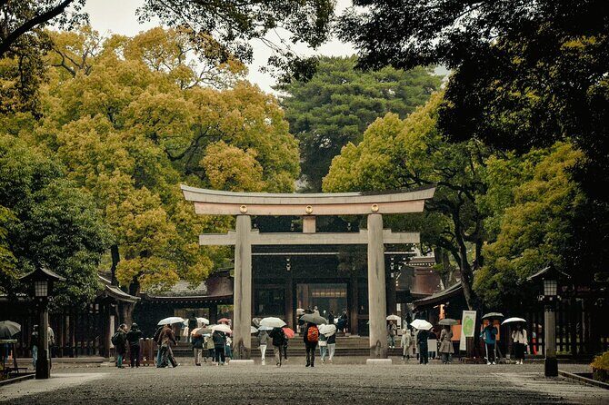Private and Customisable Tokyo Tour with English Driver-guide - The Sum Up: Who Is This Tour For?