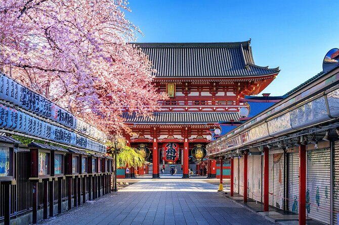 Private and Customisable Tokyo Tour with English Driver-guide - FAQ