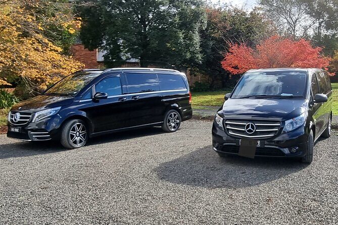 Private and Customised Great Ocean Road and Luxury Tour - Key Points