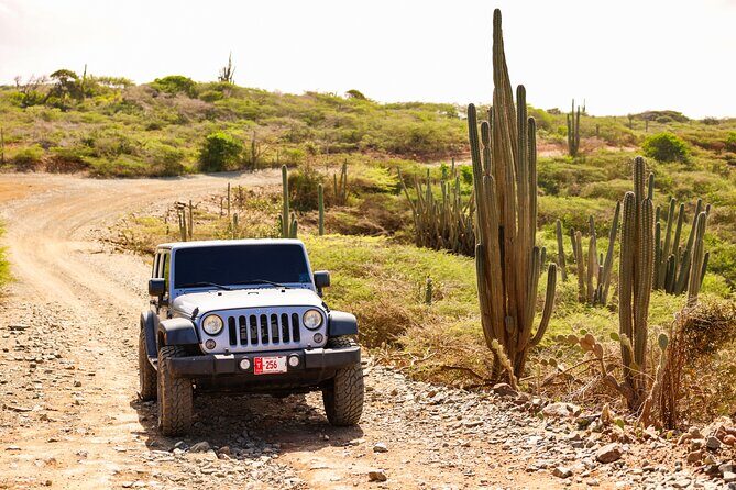 Private and Customized Aruba 4X4 Jeep Adventure - Key Points